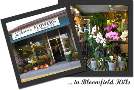 Jacobsen's Flowers store location in Bloomfield Hills, MI