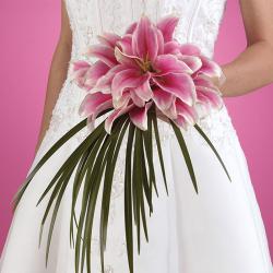 Weddings and wedding flowers by Flower Cart, your Carlisle, Ohio florist.