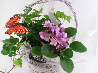 Butterfly and Blooms Basket In Waterford Michigan Jacobsen's Flowers