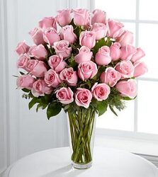 3 DOZEN LS PINK ROSES In Waterford Michigan Jacobsen's Flowers