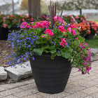 Premium Patio Porch Planter In Waterford Michigan Jacobsen's Flowers