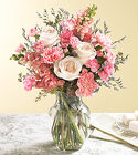 Pretty and Pink