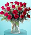 2 Dozen Red Roses