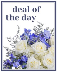 Deal of the Day - Winter In Waterford Michigan Jacobsen's Flowers