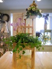 /images/GARDEN_GREETINGS_CHAIR_002lg.jpg Garden Greetings