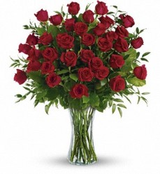 Best Value!  3 Dozen LS Red  Roses In Waterford Michigan Jacobsen's Flowers