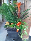 Premium Combination Planter In Waterford Michigan Jacobsen's Flowers
