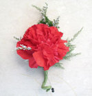 Single carnation boutonnierre