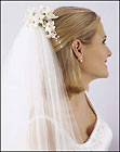White Hair Accents