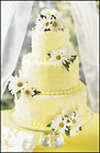 Wedding Cake Floral Accents