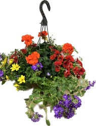 Hanging Outdoor Annuals  In Waterford Michigan Jacobsen's Flowers