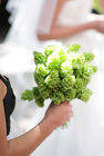 Bridal Bells of Ireland