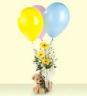 Bear and Budvase