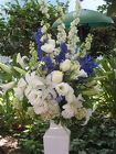 Ceremony Blue