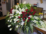 Magnificent Tribute