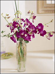 FTD Pacific Paradise Arrangement