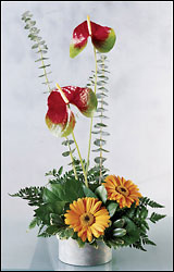 FTD Blazing Beauty Bouquet