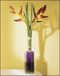 FTD Tropic Sun Bouquet