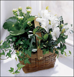 FTD White Assortment Basket
