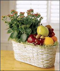 FTD Fruits & Flowers