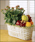 FTD Fruits & Flowers