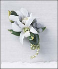 Pure Heaven Boutonniere