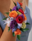 /images/ftd04/W8-3457lg.jpg Designers Choice
