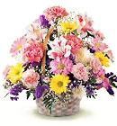  Basket Of Smiles 