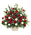  Devotion Arrangement