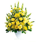 Glowing Ray Arrangement In Waterford Michigan Jacobsen's Flowers