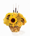 Autumn Splendor Centerpiece