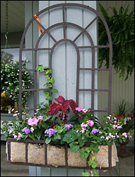 Window Wall Hanger
