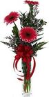 Daisy Dancing Thanks! In Waterford Michigan Jacobsen's Flowers