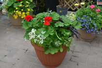 Beautiful Porch Planters