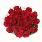 Rose Special In Waterford Michigan Jacobsen's Flowers