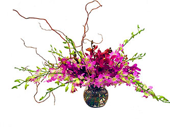 Magnificent Orchid Bouquet