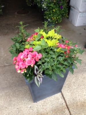 Shade Loving Porch Planters