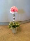 Carnation Topiary
