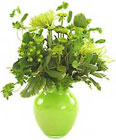 Feeling Lucky? In Waterford Michigan Jacobsen's Flowers