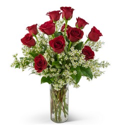Swoon Over Me Dozen Red Roses In Waterford Michigan Jacobsen's Flowers