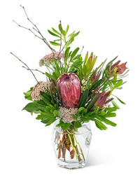Posh Protea In Waterford Michigan Jacobsen's Flowers