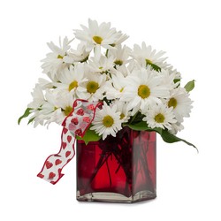 Simple Love In Waterford Michigan Jacobsen's Flowers