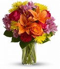 Bright Smiles In Waterford Michigan Jacobsen's Flowers
