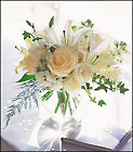 Love and Lilies