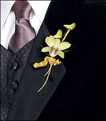 Cat's-Eye Green Orchid Boutonniere