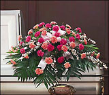 Delicate Pink Casket Spray
