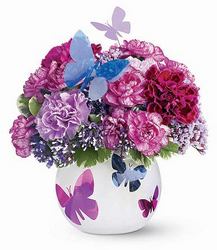 Teleflora's Butterfly Bouquet 