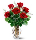 6 Red Roses In Waterford Michigan Jacobsen's Flowers