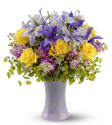 Lavender Sunshine