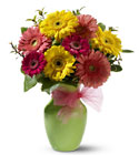 /images/telwhite03/TF-WEB139lg.jpg Daisy Dazzle